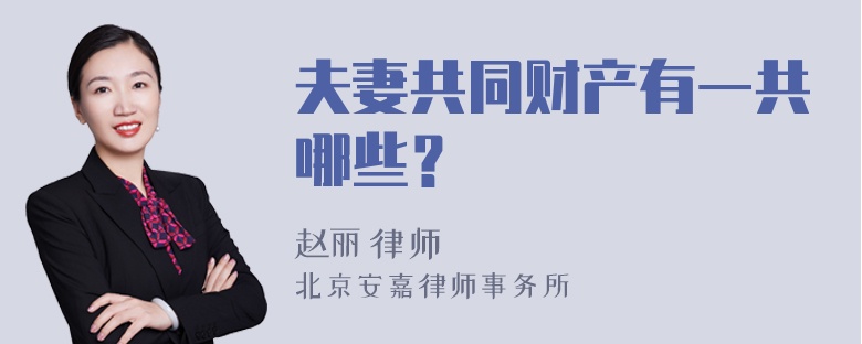 夫妻共同财产有一共哪些？