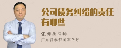 公司债务纠纷的责任有哪些