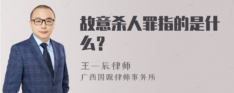 故意杀人罪指的是什么？