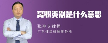 离职类别是什么意思