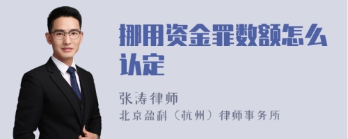 挪用资金罪数额怎么认定