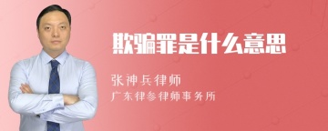 欺骗罪是什么意思