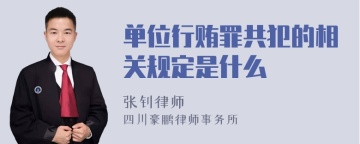 单位行贿罪共犯的相关规定是什么