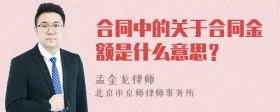 合同中的关于合同金额是什么意思？