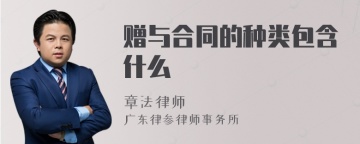 赠与合同的种类包含什么