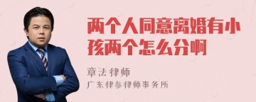 两个人同意离婚有小孩两个怎么分啊