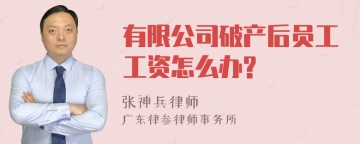 有限公司破产后员工工资怎么办?