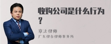 收购公司是什么行为？