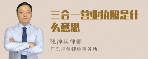 三合一营业执照是什么意思