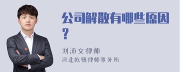 公司解散有哪些原因？