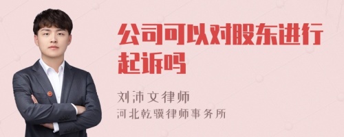 公司可以对股东进行起诉吗