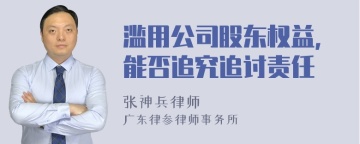 滥用公司股东权益，能否追究追讨责任