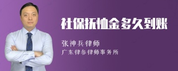 社保抚恤金多久到账