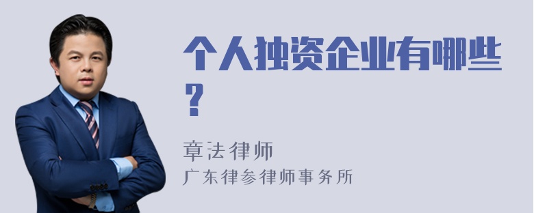 个人独资企业有哪些？