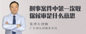 刑事案件中第一次取保候审是什么意思