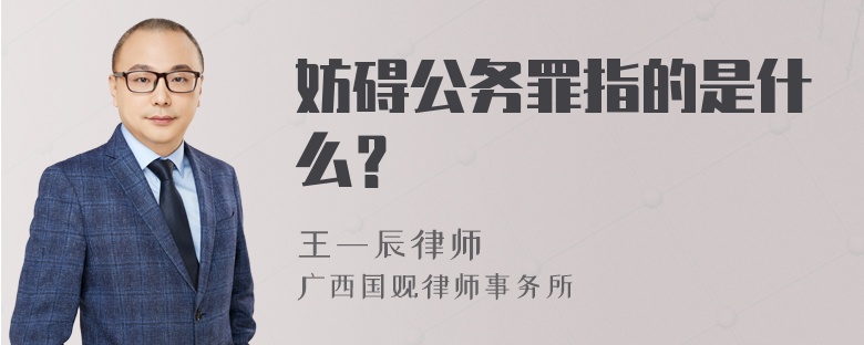 妨碍公务罪指的是什么？