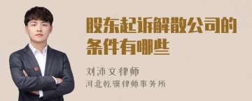 股东起诉解散公司的条件有哪些