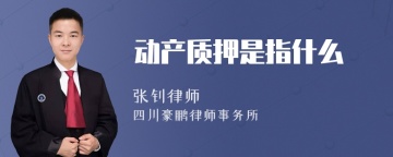 动产质押是指什么