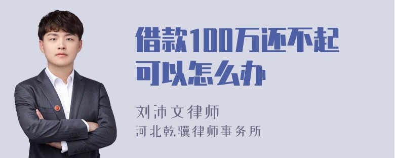 借款100万还不起可以怎么办