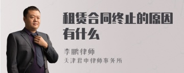 租赁合同终止的原因有什么