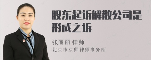 股东起诉解散公司是形成之诉