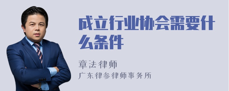 成立行业协会需要什么条件