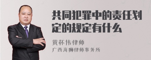 共同犯罪中的责任划定的规定有什么