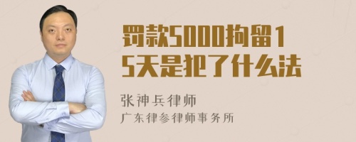 罚款5000拘留15天是犯了什么法