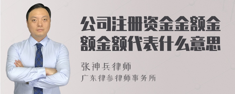 公司注册资金金额金额金额代表什么意思