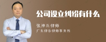 公司设立纠纷有什么