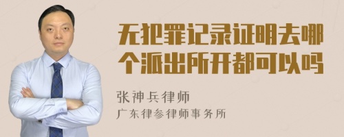 无犯罪记录证明去哪个派出所开都可以吗