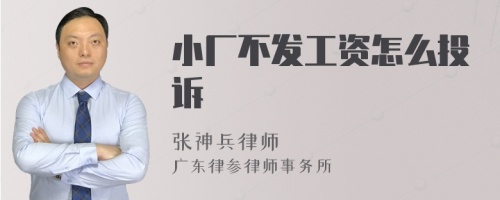 小厂不发工资怎么投诉