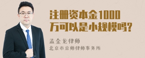 注册资本金1000万可以是小规模吗?