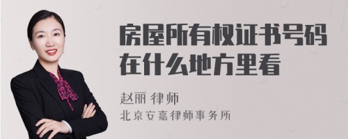 房屋所有权证书号码在什么地方里看