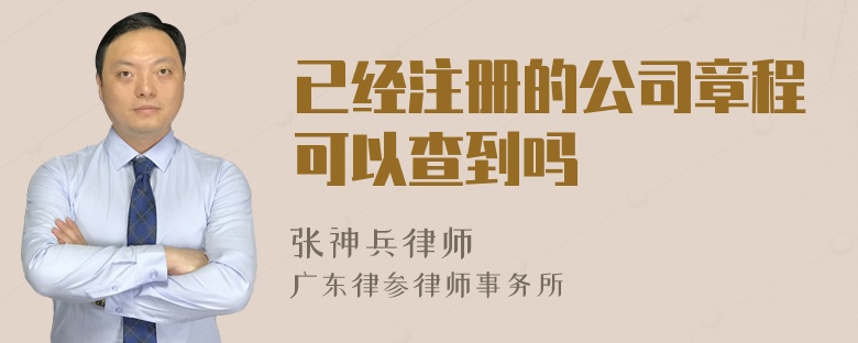 已经注册的公司章程可以查到吗