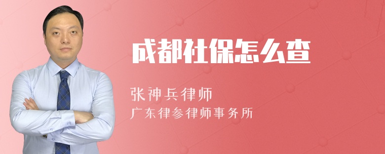 成都社保怎么查