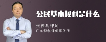 公民基本权利是什么