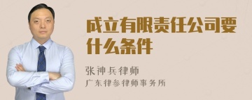 成立有限责任公司要什么条件