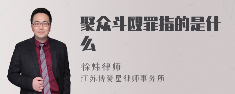 聚众斗殴罪指的是什么