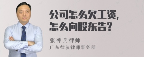 公司怎么欠工资, 怎么向股东告?