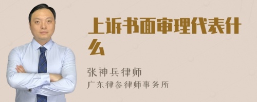 上诉书面审理代表什么