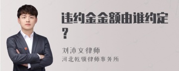 违约金金额由谁约定？