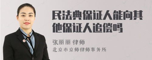 民法典保证人能向其他保证人追偿吗