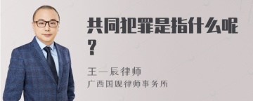 共同犯罪是指什么呢？