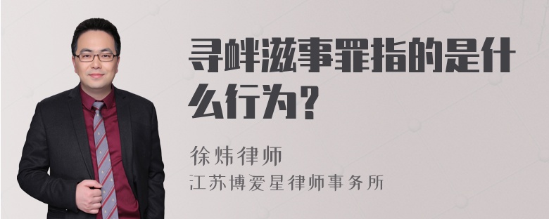 寻衅滋事罪指的是什么行为？