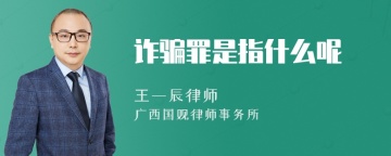 诈骗罪是指什么呢