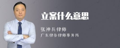 立案什么意思