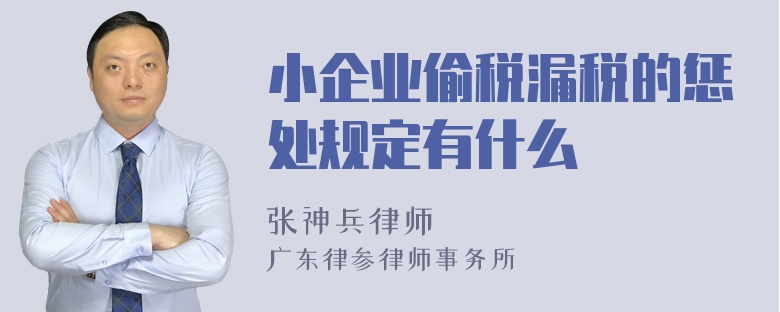 小企业偷税漏税的惩处规定有什么