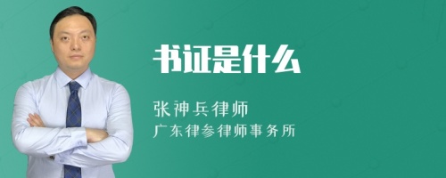 书证是什么