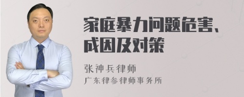 家庭暴力问题危害、成因及对策